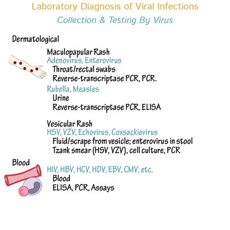 laboratory analysis diagnosis|laboratory diagnosis of viruses.